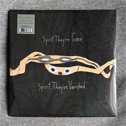 Animal Collective - Spirit They're Gone, Spirit They've Vanished / Limited Edition PDEOiKewi4GcQvB8tCqZM3 - фото 13122