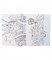 Раскраска "American Graffiti Coloring Book" rmErbXgojMvYQsAwVNtmg1
